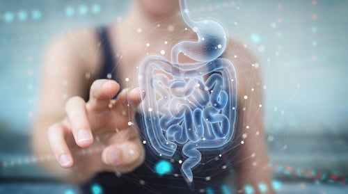 Full Body Microbiome Optimization