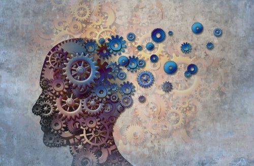 Cognition, Memory and Mental Optimization
