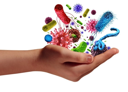 Infection (Pathogen) Eradication