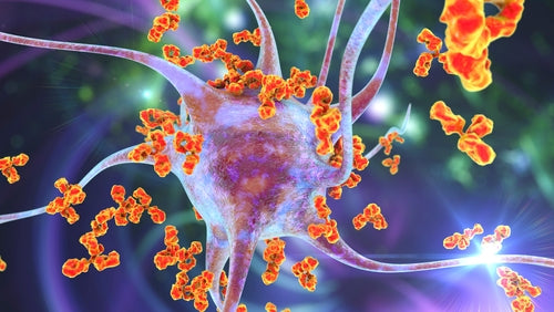 Immune System Optimization